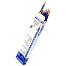 Staedtler 100 2B Pencil (1doz)